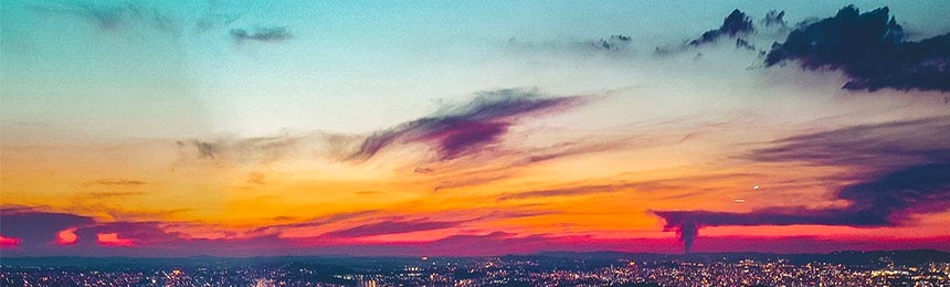 滑县茶虫网_滑县品茶